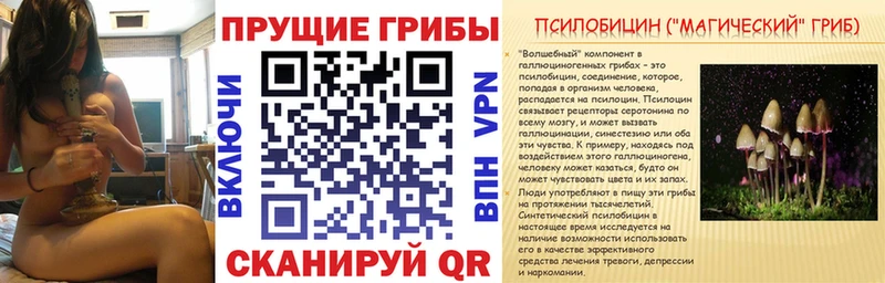 Галлюциногенные грибы прущие грибы  Щигры 