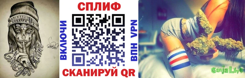 Бошки марихуана гибрид  мега онион  Щигры  цена  